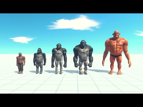 Punching Team Vs Every Unit [Without Goro The Giant] ARBS | Animal Revolt Battle Simulator
