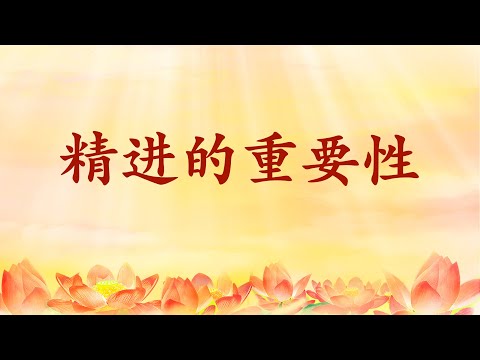 3.  恩师【节目录音+字幕】精进的重要性 《玄艺问答》