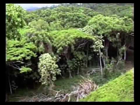 oa ha 'matsie pheello vol 1