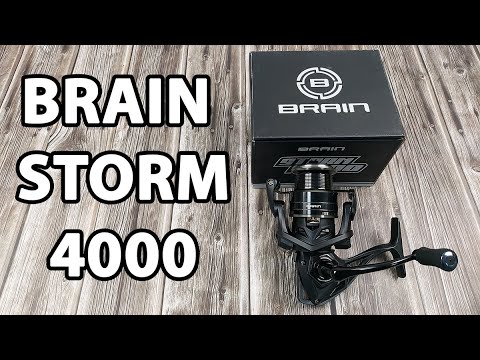 Котушка Brain Storm 4000 (7+1 підшип.), 4.9:1