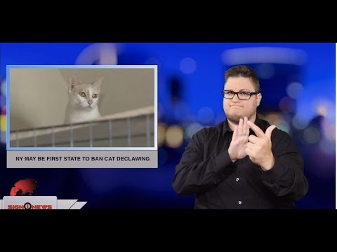 NY may be the first state to ban cat declawing (ASL - 6.6.19)