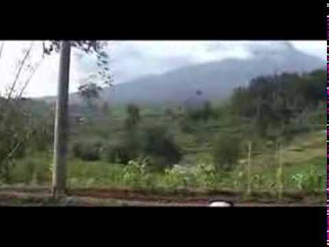 Erna Arsylia: Punclut