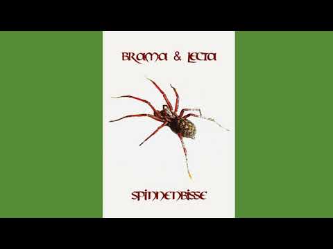 Brama & Lecta - Spinnenbisse