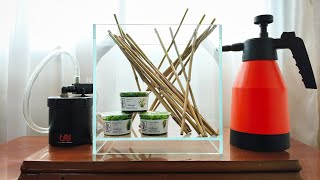🚨🚨 MS Aquascaping is LIVE!! 🚨🚨