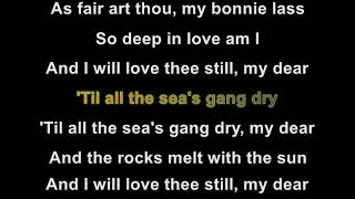 Celtic Thunder - My Love Is Like A Red Red Rose (Karaoke version) (made by René Maréchal)