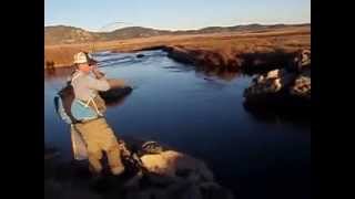 preview picture of video 'Fly Fishing :: Kokane Salmon :: Spinney Mountain Ranch, CO'