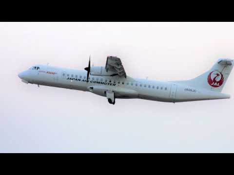 えらぶゆりの島空港　山本ユリエ