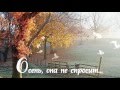 Осень, она не спросит. 