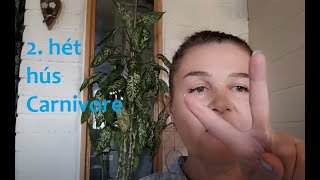 Húsevő Carnivore Diet 2. hét, no pain