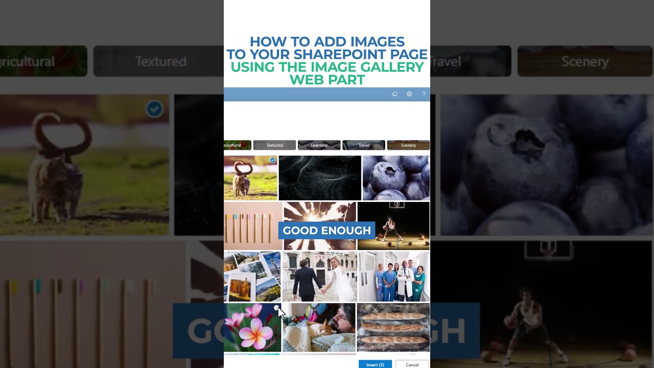 Optimize SharePoint: Add Photos with Image Gallery Web Part