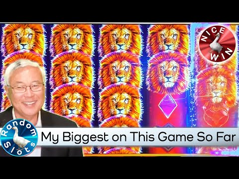 Casino Bonus i Dag Sikker Opdag Dit Næste Eventyr