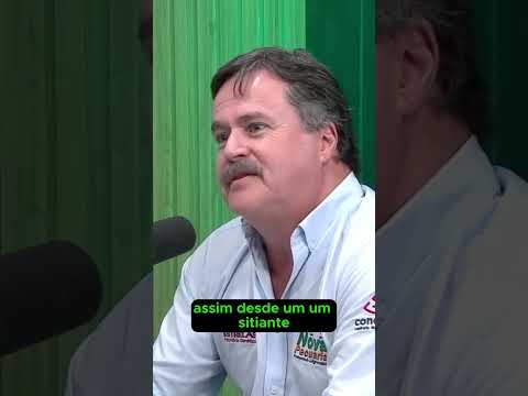 Confraria distribui sêmen de Nelore para aprimorar raça
