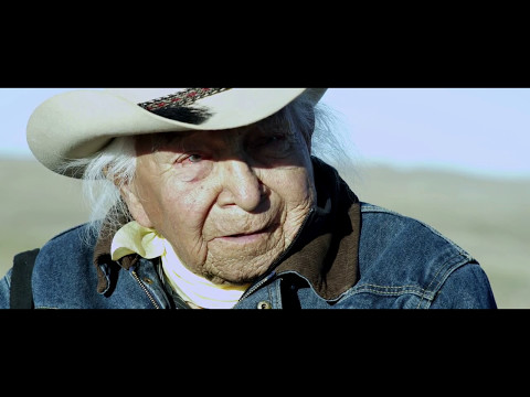 afbeelding Neither Wolf Nor Dog