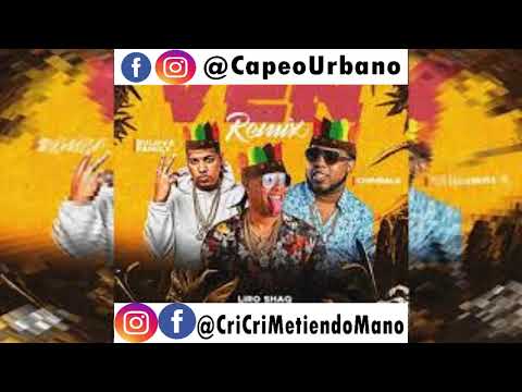 Liro Shaq El Sofoke ❌ Bulova ❌ Chimbala - VEN REMIX  (AUDIO OFFICIAL)