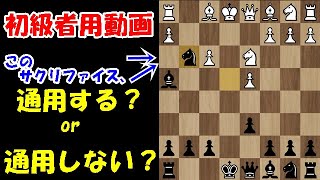 【初級者用動画】オープニングからバチバチに攻めていきます！とにかく駒を捨てまくる！(ペトロフ・ディフェンス)