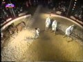 Yasmine Smart Cavalos Horses 1º Festival Internacional De Circo De Massy 1993