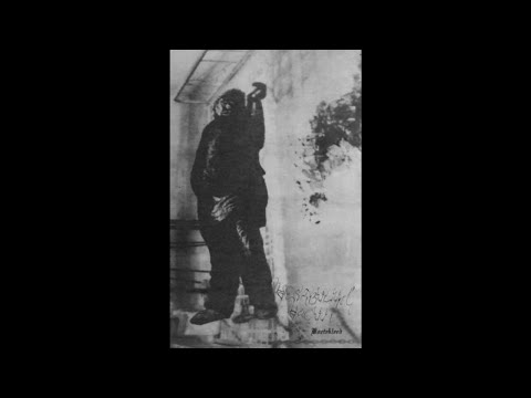 Vestibulum Vacuüi (Netherlands) - Boetekleed (Demo) 2017