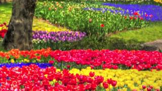 Shuggie Otis -  Aht Uh Mi Hed (Ripperton&#39;s full flowerz re-edit)