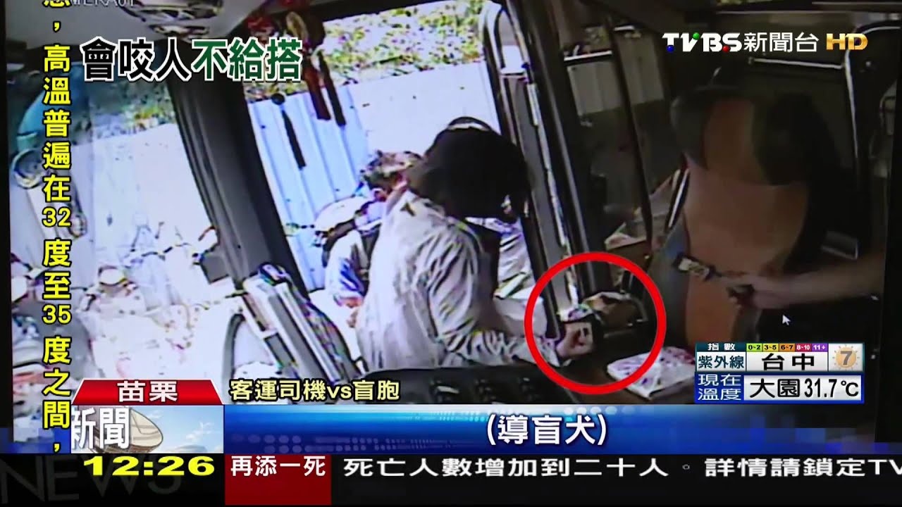 狗不能上!盲胞帶導盲犬 遭客運司機制止