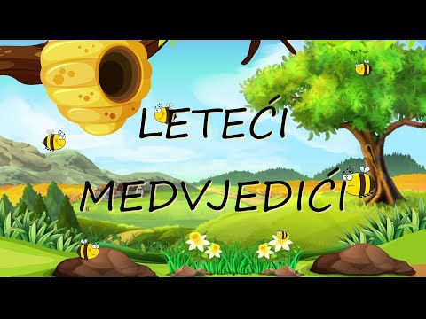 Video Placeholder