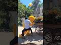 Teddy Bear M Fool Bechne Wale M Jodaar Ladaai Funny Comedy Trending Shorts Vairal Video Vilog