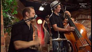 Sportfreunde Stiller feat Pelzig - Alles Roger (live 2009) HD 0815007