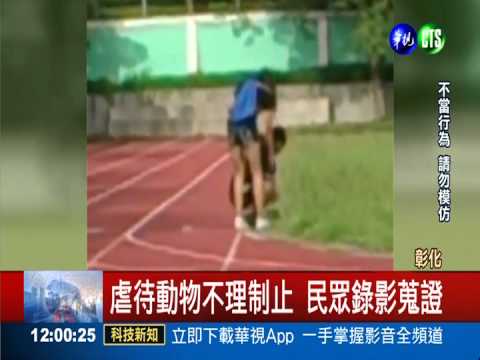 牠不是出氣包! 殘忍情侶拋摔活兔