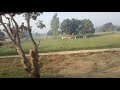 04208 Padmavat Express On Full Speed Near Pratapgarh Pratapgarh प्रतापगढ़ Padmavat