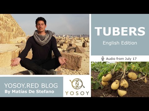 Day 348 - TUBERS - Matías De Stefano - YOSOY.RED BLOG: Knees - Emotional - Cancer, Read by Joan 7/17