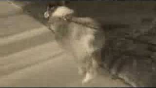 You Are Goodbye-Holly Conlan-Boomer