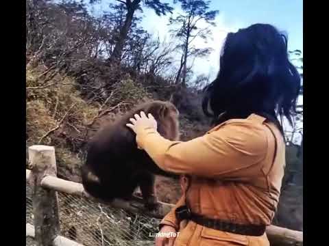 Gotta Show Them Whos on Top of The Food Chain 💀🥊