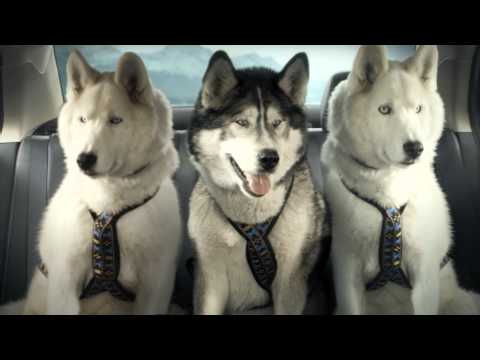 Trade in your sled for a Suzuki Kizashi today!