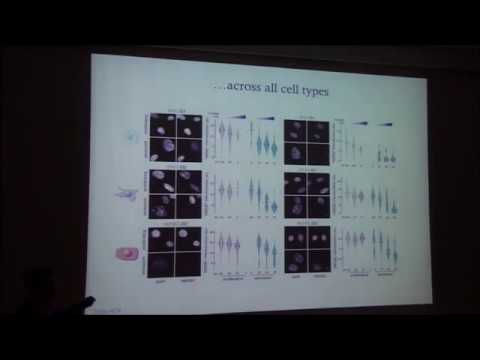 IMBB SEMINAR - Argyris PAPANTONIS, January 29th 2018 @ 12:00