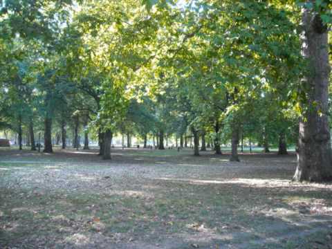 right from wrong - alli rogers