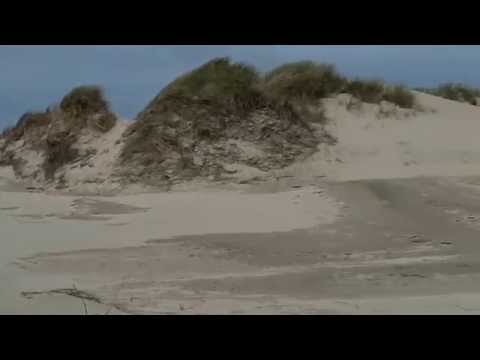 Råbjerg Mile sand dunes in Skagen Denmark 360 view