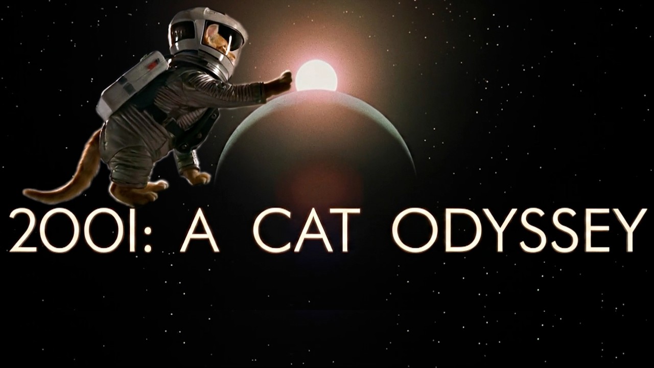 La remake de "2001: Odisea del espacio" en clave gatuna: una OBRA MAESTRA de Otro día perdido
