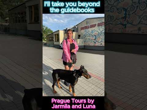 Prague Tailored Tours by Jarmila and Luna the dog  #prague  #tours  #czech  #dogs  #explore  #beer