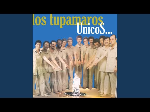 Mosaico Tupamaro Nro 3