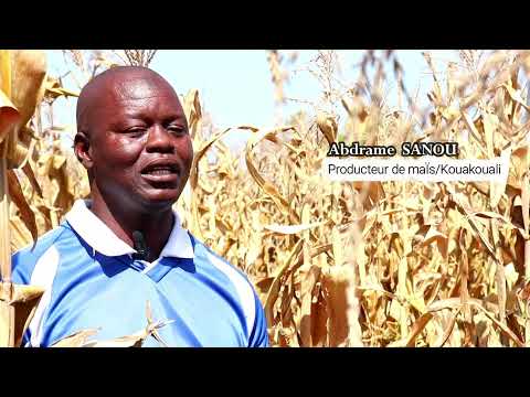 Film documentaire RECMA BF Corrigé