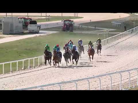 2023.04.02. 03. futam - NYERETLENEK VERSENYE (V.kat.) (szintetikus pálya)