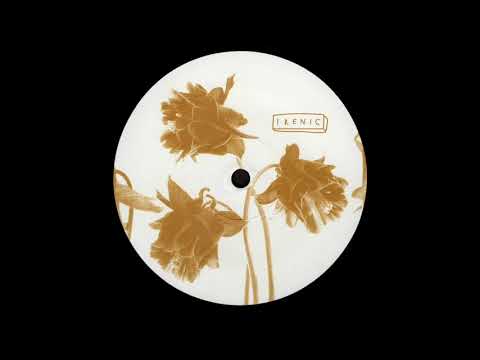 A2. Novio Dub Tribe - Smith [IRENIC003]