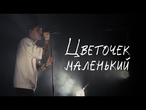 Video thumbnail for цветочек маленький (little flower) (ONF)