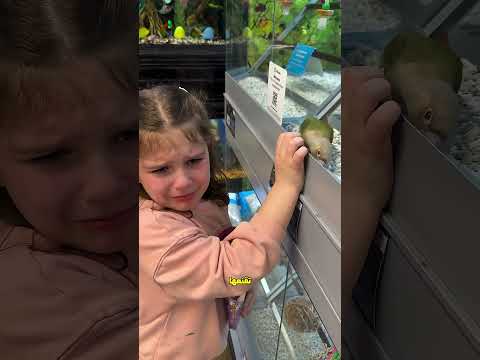 البنت لقت عصفور شبه عصفورها الأليف 🐦