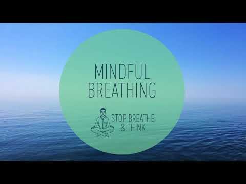 STOP BREATHE AND THINK/ MEDITATION