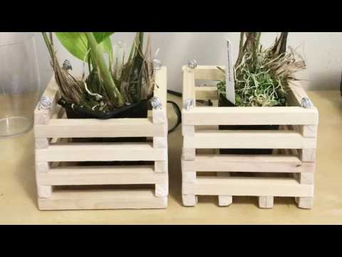 Making Vanda Baskets + basket review