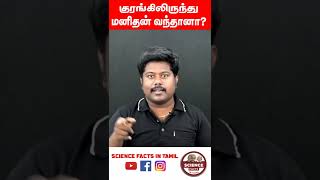 குரங்கிலிருந்து மனிதன் வந்தானா? |SFIT | human evolution | tamil