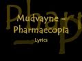 Mudvayne - Pharmaecopia lyrics on screen 