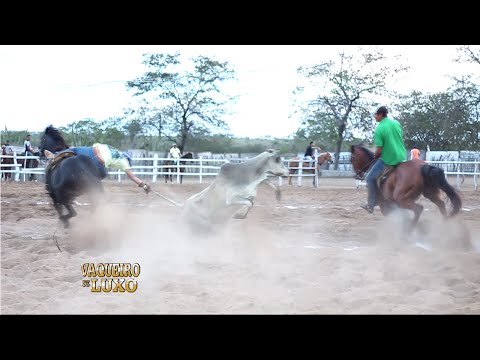 Vaqueira Cigana - Vaquejada