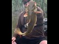 SURPRISE FLATHEAD CATFISH #shorts