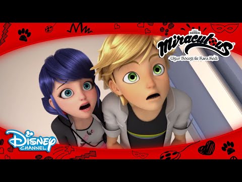 Hafıza Kaybı 😲 | Mucize: Uğur Böceği ile Kara Kedi | Disney Türkiye